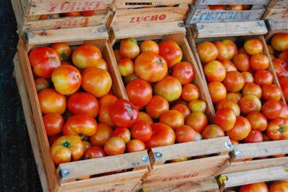Otro repunte en el tomate alerta a comerciantes