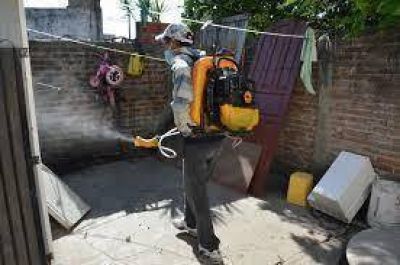 Dengue: intensificaran acciones de prevenci�n
