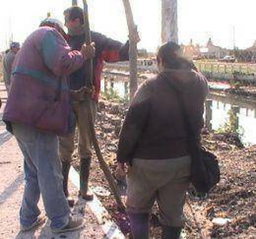 COLCIC concluy� su campa�a de forestaci�n 2013