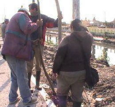 COLCIC concluy� su campa�a de forestaci�n 2013
