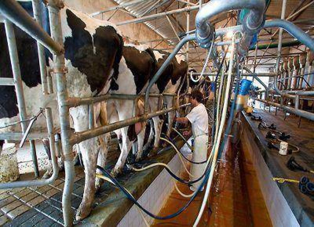 La mano de obra en la produccin lechera: Anlisis y propuestas