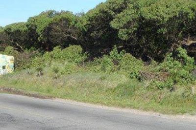 �As� preserva el municipio los espacios p�blicos�