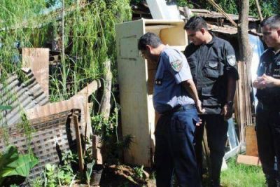 Detuvieron a conocido ladr�n por el robo de una moto y en su casa hallaron plantas de marihuana