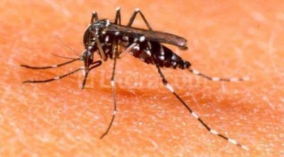 Confirman un caso de dengue en Rufino
