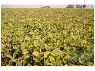 Buscan prohibir el uso productivo de las banquinas en la provincia