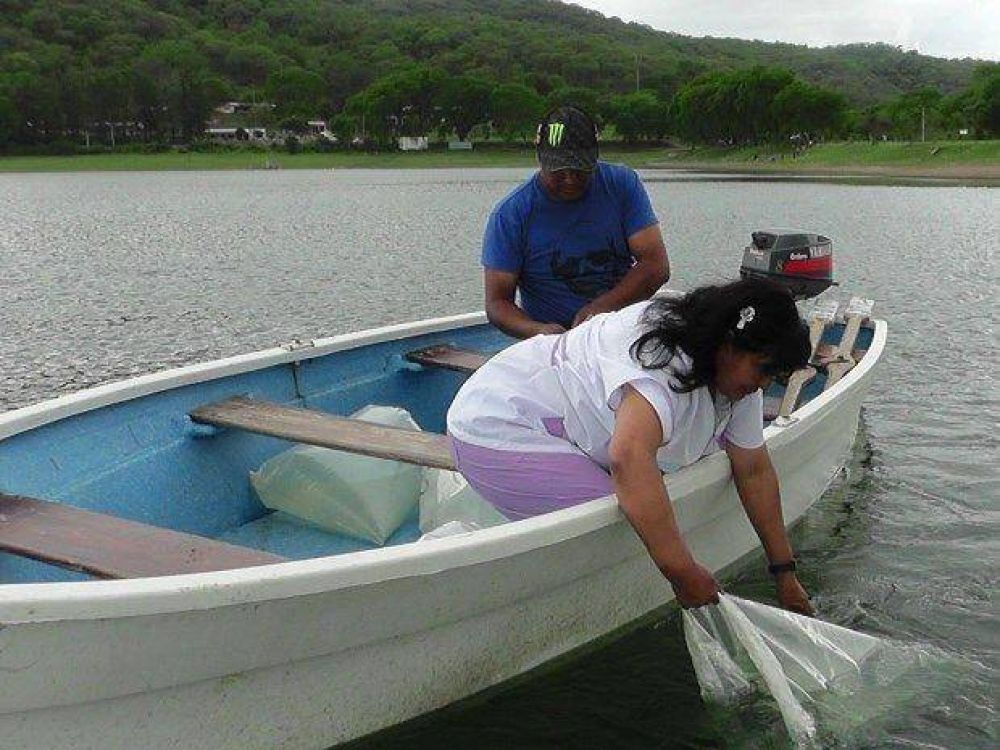 Sembraron un mill�n de alevinos de pejerrey