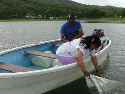 Sembraron un mill�n de alevinos de pejerrey