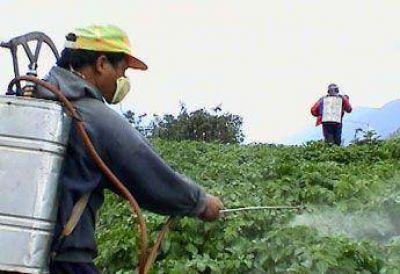 Advierten sobre el uso de agrot�xicos