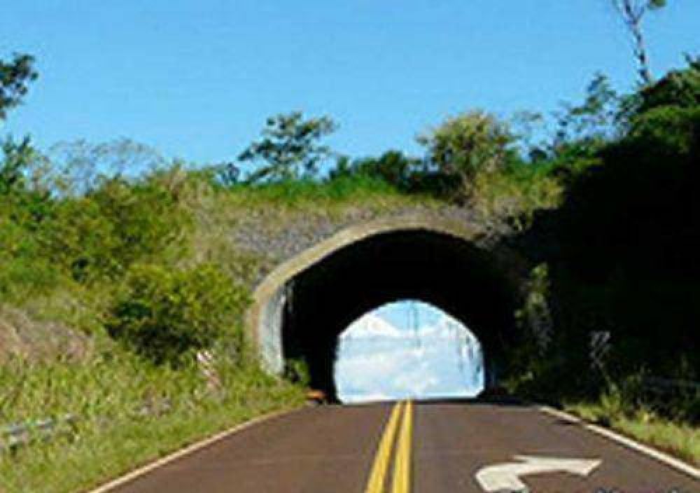Proponen la construcci�n de m�s pasafaunas en distintas rutas de la provincia 