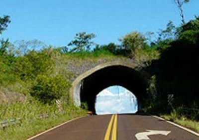Proponen la construcci�n de m�s pasafaunas en distintas rutas de la provincia 