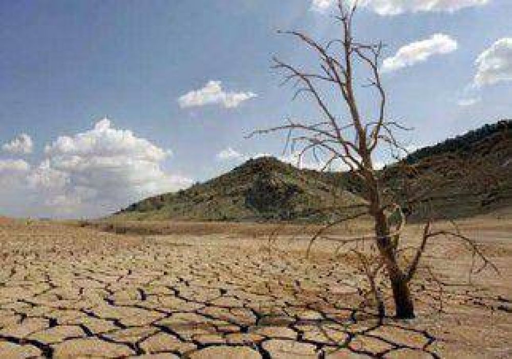 Anticipan "cat�strofe" por gases de efecto invernadero 