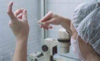 Fertilizaci�n asistida. Cuenta regresiva para la reglamentaci�n de la ley
