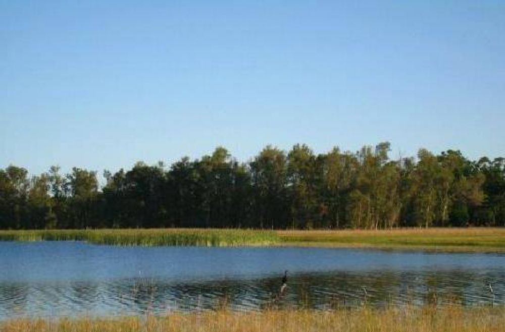 Pol�mica: vecinos preocupados por el impacto urban�stico y ambiental