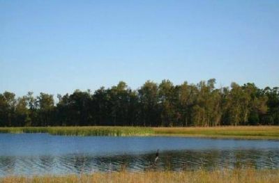 Pol�mica: vecinos preocupados por el impacto urban�stico y ambiental