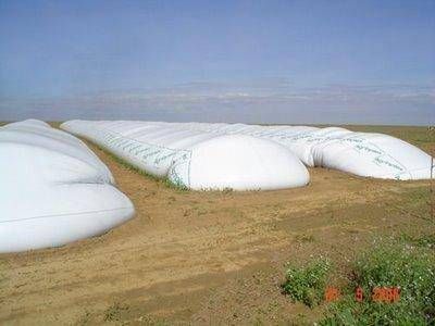Robaron m�s de 5 mil kilos de soja en un campo de Obrien