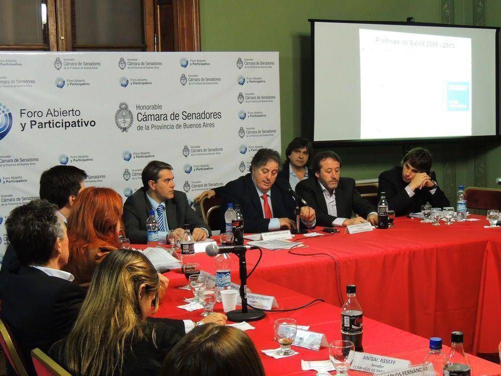 Presupuesto: Collia explic� a los senadores que �la salud se mide por resultados�