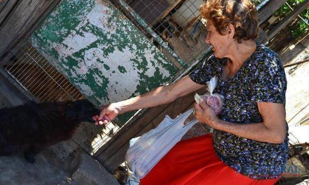 Muri� otro perro y suman ocho los casos de envenenamiento