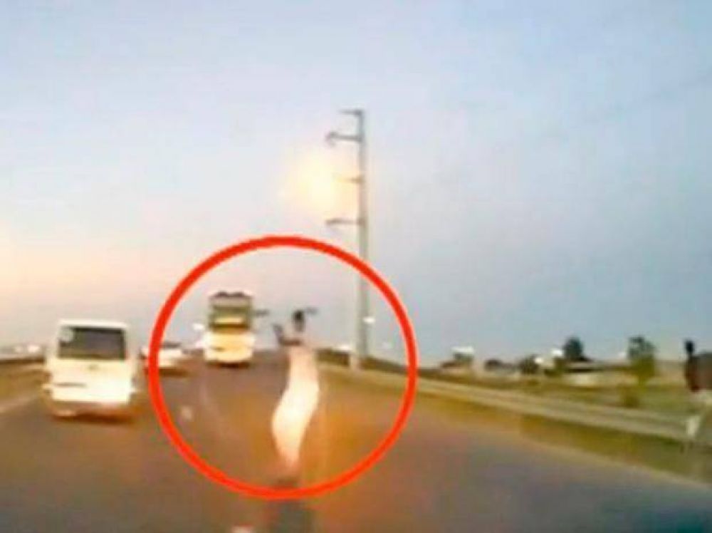 Film� un robo en plena autopista con una c�mara en el parabrisas