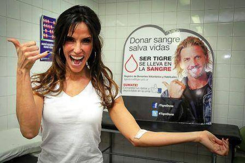 Tigre se suma al D�a Nacional del Donante de Sangre 