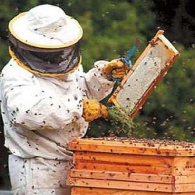 Apicultores riojanos participaron de fruct�fera jornada de capacitaci�n