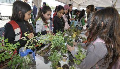 Cerca de 350 estudiantes se comprometieron con el cuidado del agua a trav�s de Huerta Org�nica