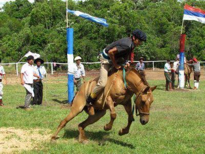 Miles de personas participaron de la Segunda Fiesta Provincial del Cordero Serrano y la tradici�n