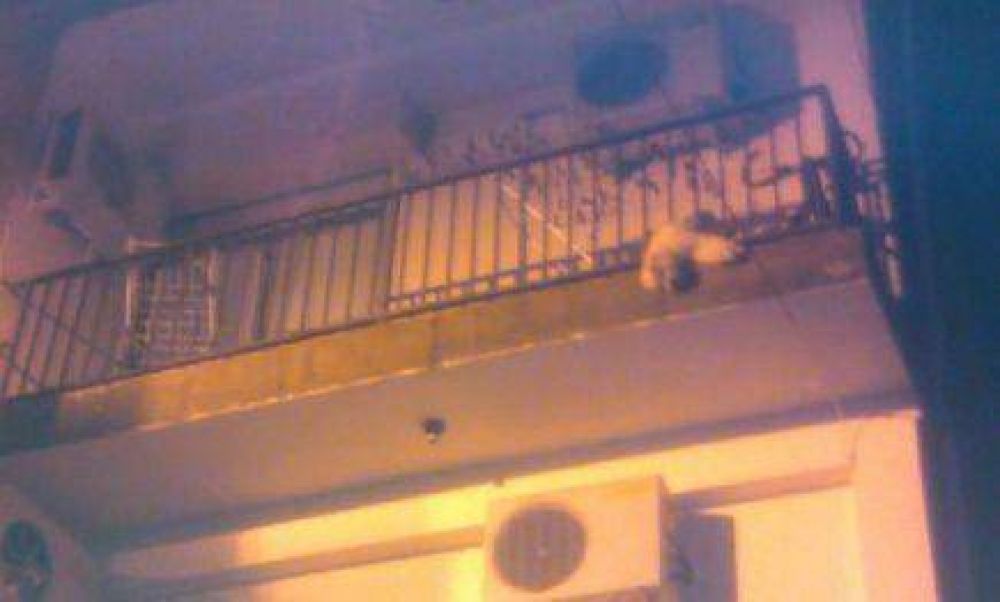 Perrito muere en un balc�n; fue abandonado por sus due�os 