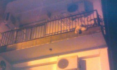 Perrito muere en un balc�n; fue abandonado por sus due�os 