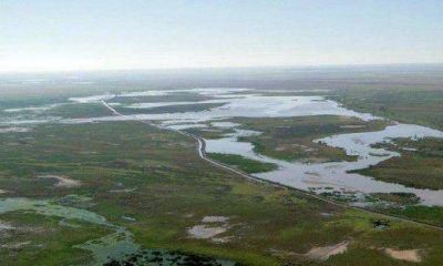 Ecologistas piden a De la Sota que preserve los Ba�ados del Saladillo