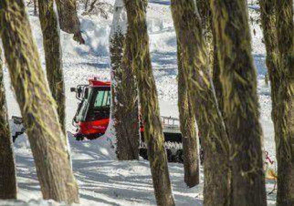 Por talar �rboles, Chapelco pagar� $455 mil 
