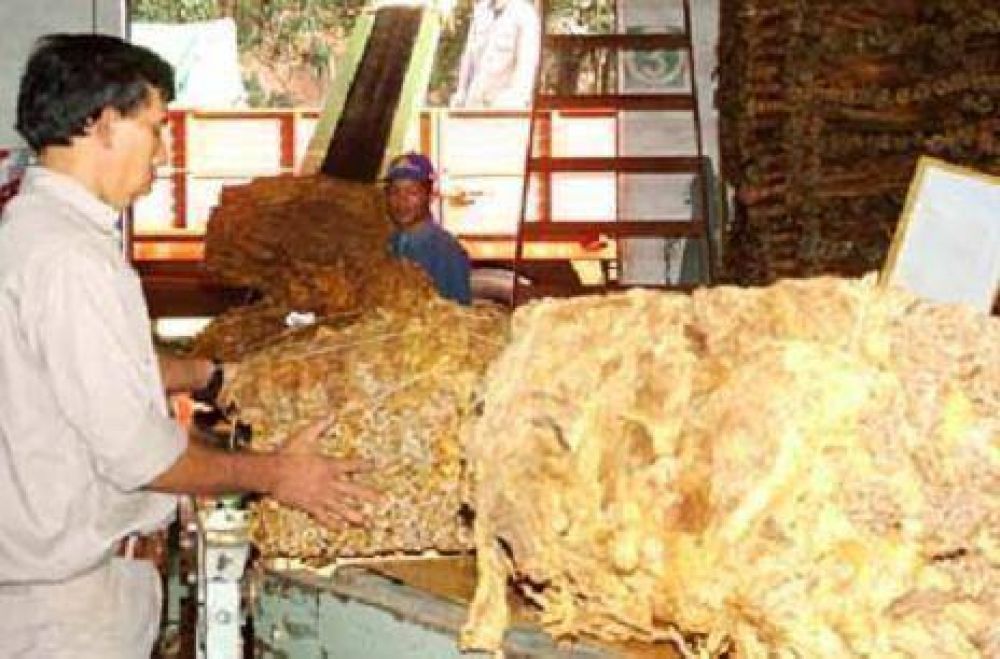 Tabaco: aclaran que desde la Provincia se realizaron todas las gestiones para el pago del FET