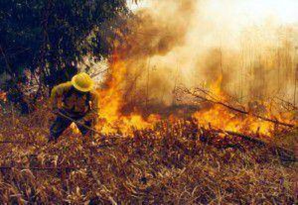 Contina fuera de control el incendio forestal en el ramal jujeo