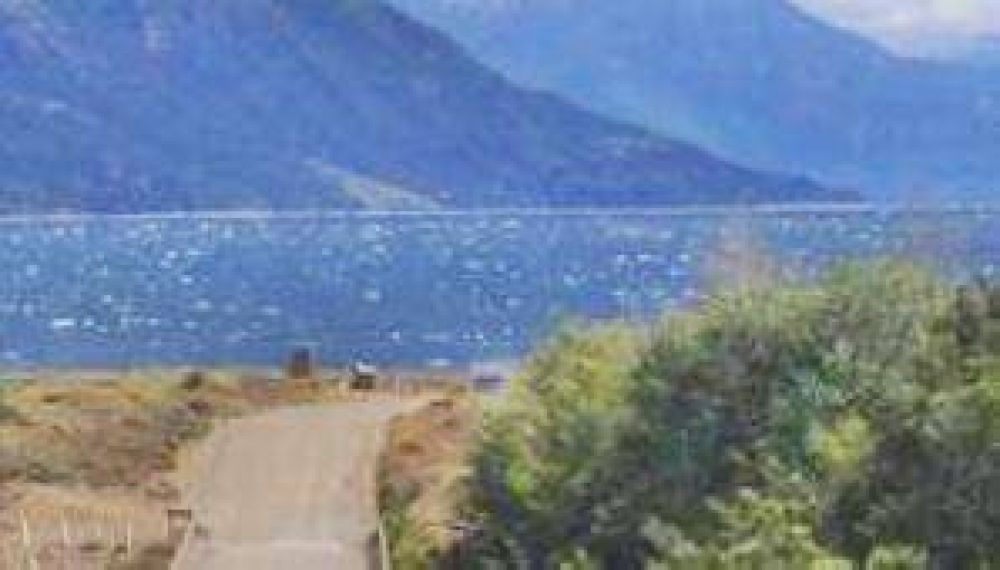 Accidente y milagro en Jun�n de los Andes: Un auto cay� 30 metros y el conductor sobrevivi�