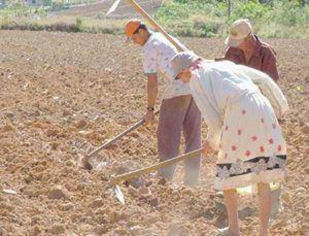 Construcci�n y agro, al tope del empleo informal