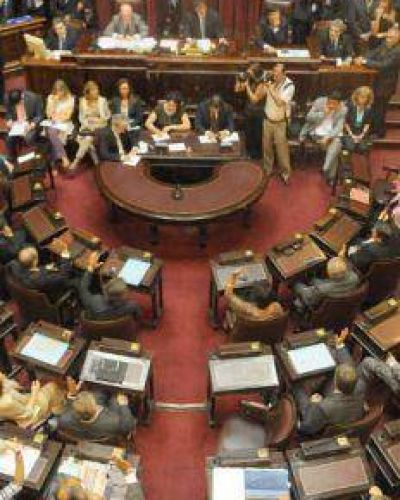 El Senado trata la ley de "grooming"