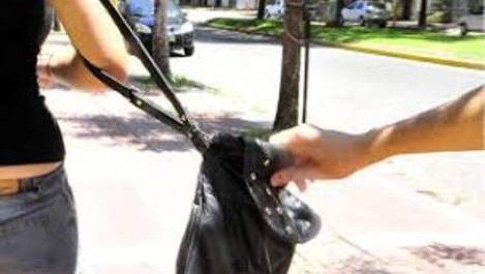 Cuatro mujeres v�ctimas de arrebatos violentos en Capital