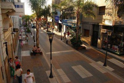 En la semipeatonal �lo �nico que creci� son las palmeras�