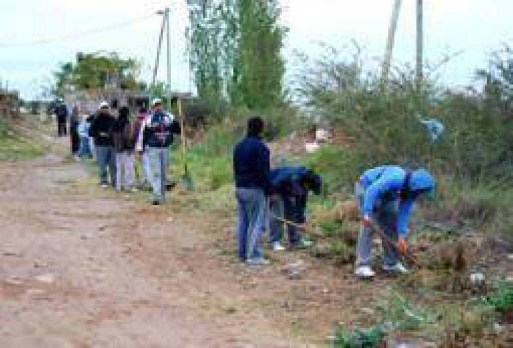 Dengue. Advierten que el fr�o no frena al mosquito transmisor