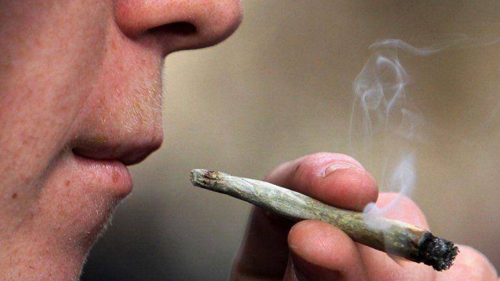 El Congreso de Puerto Rico despenaliz� la marihuana