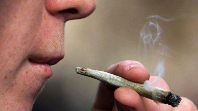 El Congreso de Puerto Rico despenaliz� la marihuana