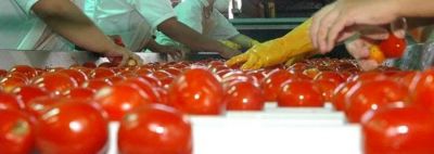 Cinco auditores del TC revisan los n�meros de Agroandina