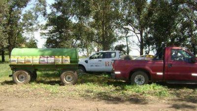 Trabajo infraccion� un campo de papa cerca de Claromec�
