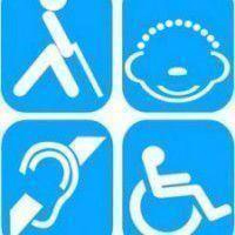 Se reglament� parcialmente la Ley Provincial de Discapacidad