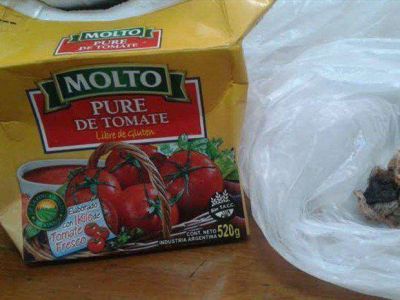 �Algo raro en el tomate!