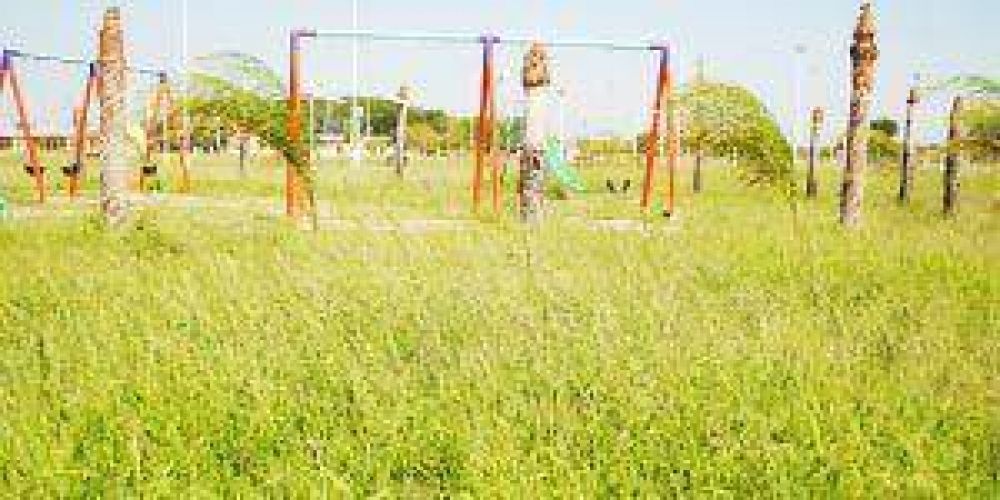 La plaza de la Nueva Formosa hecha un �montecito�