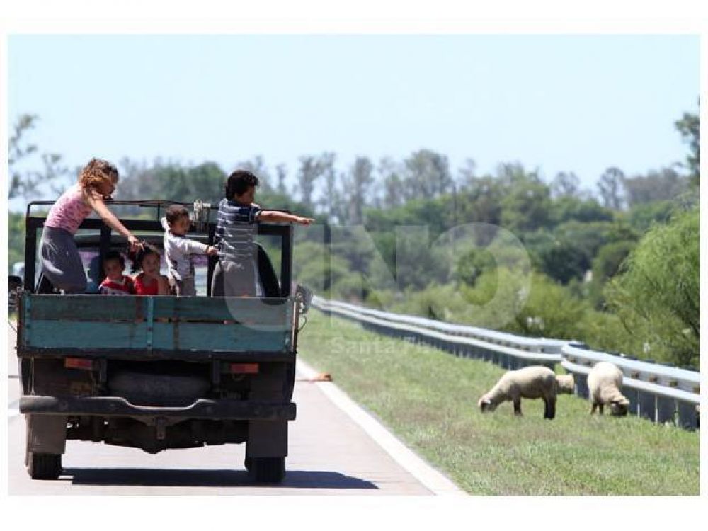 Oscuridad y animales sueltos enlutan la Circunvalaci�n