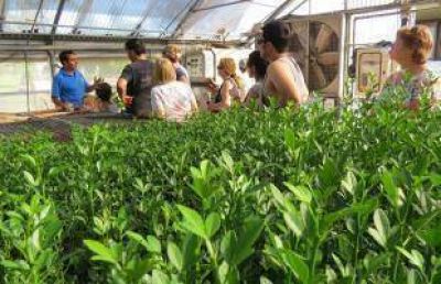Gran aceptaci�n al �D�a de Campo� de Inta
