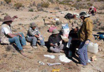 Avanzan en la investigaci�n de los dinos m�s antiguos de la Patagonia 