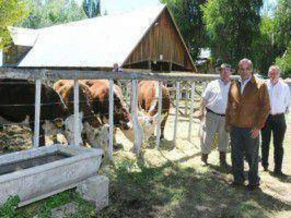 Vacas y petr�leo, �convivencia perfecta�