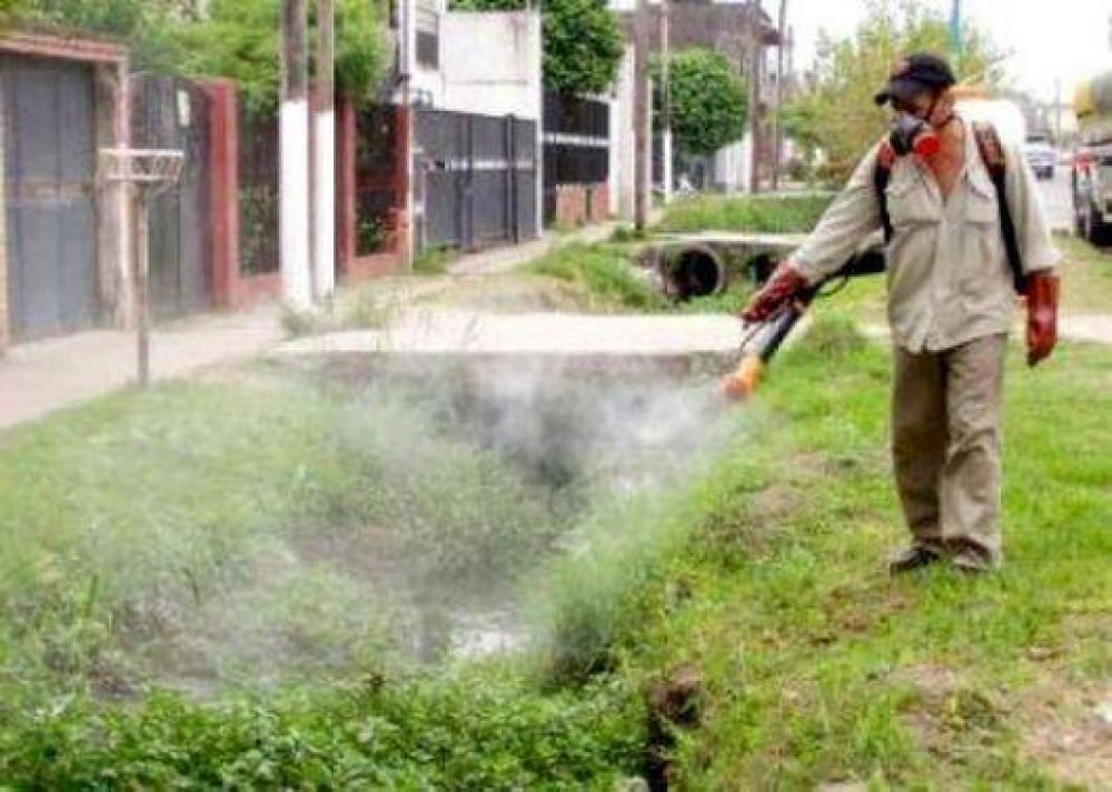 Intensifican acciones para evitar el dengue
